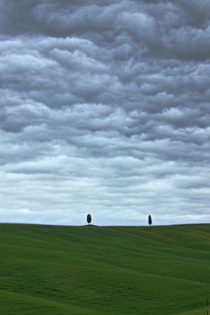 [it] dolci ondulazioni in Val d'Orcia [en] gentle undulations in the Val d'Orcia